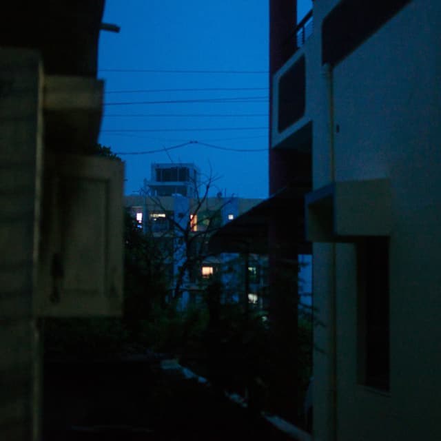 Image 12